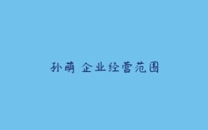 孙萌 企业经营范围-51自学联盟