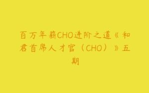 百万年薪CHO进阶之道《和君首席人才官（CHO）》五期-51自学联盟