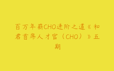 百万年薪CHO进阶之道《和君首席人才官（CHO）》五期-51自学联盟