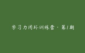 学习力闭环训练营·第1期-51自学联盟