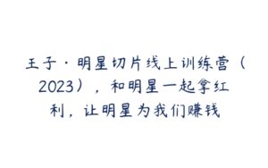 王子·明星切片线上训练营（2023），和明星一起拿红利，让明星为我们赚钱-51自学联盟