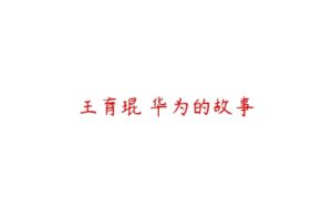 王育琨 华为的故事-51自学联盟