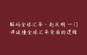 解码全球汇率·赵庆明 一门课读懂全球汇率背后的逻辑-51自学联盟