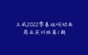 王威2022零基础AE动画商业实训班第1期-51自学联盟