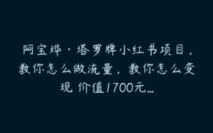 阿宝烨·塔罗牌小红书项目，教你怎么做流量，教你怎么变现 价值1700元...-51自学联盟