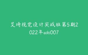 艾琦视觉设计实战班第5期2022年aiki007-51自学联盟