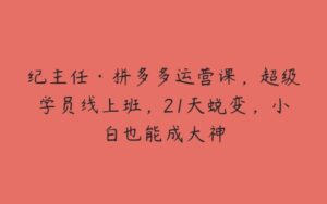 纪主任·拼多多运营课，超级学员线上班，21天蜕变，小白也能成大神-51自学联盟