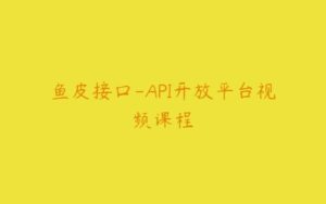 鱼皮接口-API开放平台视频课程-51自学联盟