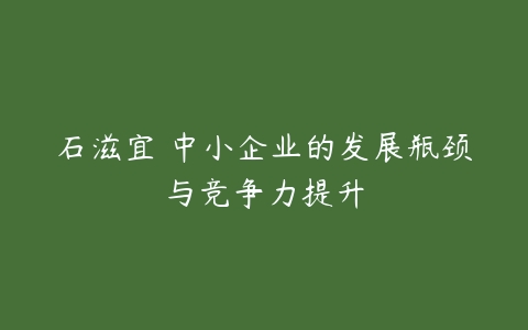 石滋宜 中小企业的发展瓶颈与竞争力提升-51自学联盟