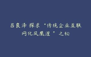 吕良泽 探求“传统企业互联网化凤凰涅槃”之秘-51自学联盟