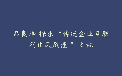 吕良泽 探求“传统企业互联网化凤凰涅槃”之秘-51自学联盟