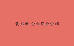 黄启珠 企业综合咨询-51自学联盟