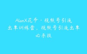 AlanX花爷·视频号引流出单训练营，视频号引流出单必杀技-51自学联盟