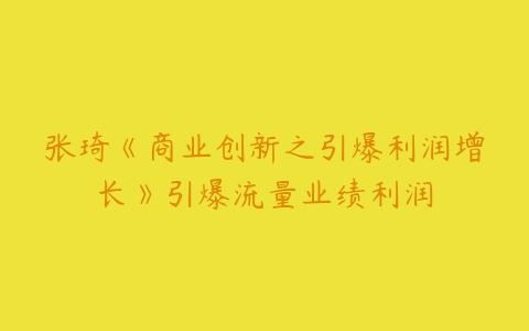 张琦《商业创新之引爆利润增长》引爆流量业绩利润-51自学联盟