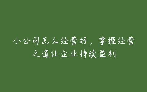 小公司怎么经营好，掌握经营之道让企业持续盈利-51自学联盟