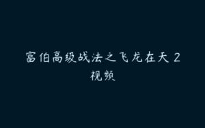 富伯高级战法之飞龙在天 2视频-51自学联盟