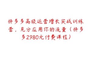 拼多多高级运营增长实战训练营，充分应用你的流量（拼多多2980元付费课程）-51自学联盟