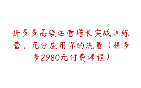 拼多多高级运营增长实战训练营，充分应用你的流量（拼多多2980元付费课程）-51自学联盟