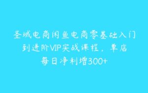 圣域电商闲鱼电商零基础入门到进阶VIP实战课程，单店每日净利增300+-51自学联盟