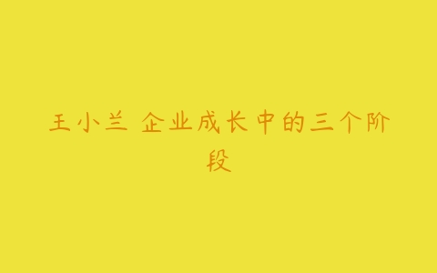 王小兰 企业成长中的三个阶段-51自学联盟