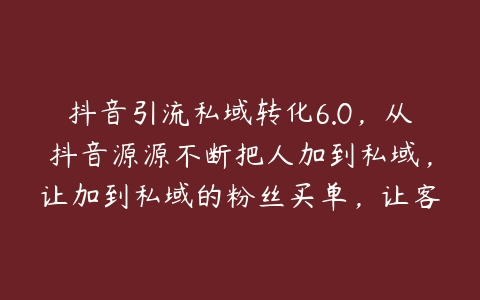 抖音引流私域转化6.0，从抖音源源不断把人加到私域，让加到私域的粉丝买单，让客户持续购买-51自学联盟