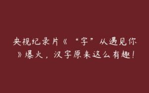 央视纪录片《“字”从遇见你》爆火，汉字原来这么有趣！-51自学联盟