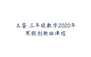 王睿 三年级数学2020年寒假创新班课程-51自学联盟