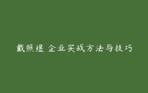 戴照煜 企业实战方法与技巧-51自学联盟