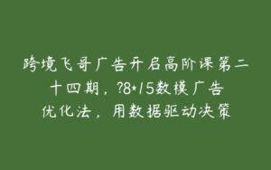 跨境飞哥广告开启高阶课第二十四期，?8*15数模广告优化法，用数据驱动决策-51自学联盟