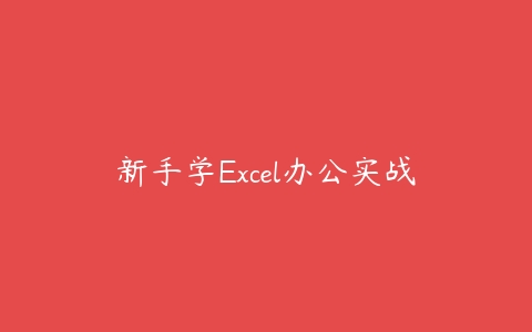 新手学Excel办公实战百度网盘下载