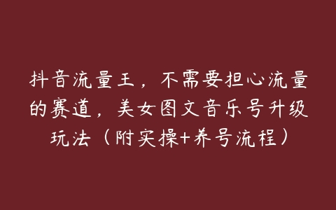 抖音流量王，不需要担心流量的赛道，美女图文音乐号升级玩法（附实操+养号流程）-51自学联盟