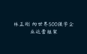 林正刚 向世界500强学企业运营框架-51自学联盟