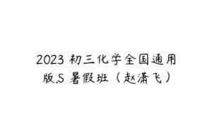 2023 初三化学全国通用版.S 暑假班（赵潇飞）-51自学联盟