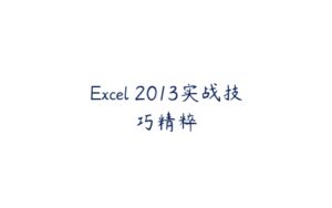 Excel 2013实战技巧精粹-51自学联盟