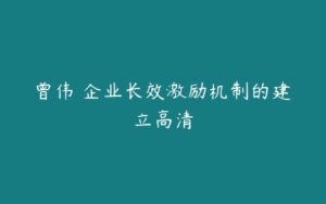 曾伟 企业长效激励机制的建立高清-51自学联盟