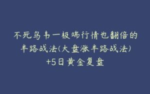 不死鸟韦一极端行情也翻倍的半路战法(大盘涨半路战法)+5日黄金复盘-51自学联盟