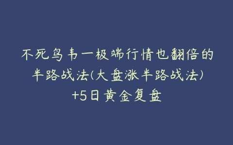 不死鸟韦一极端行情也翻倍的半路战法(大盘涨半路战法)+5日黄金复盘-51自学联盟