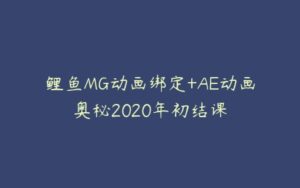 鲤鱼MG动画绑定+AE动画奥秘2020年初结课-51自学联盟