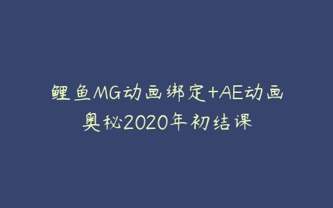 鲤鱼MG动画绑定+AE动画奥秘2020年初结课-51自学联盟