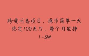 跨境问卷项目，操作简单一天稳定100美刀，每个月能挣1-3W-51自学联盟