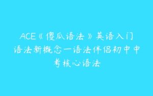 ACE《傻瓜语法》英语入门语法新概念一语法伴侣初中中考核心语法-51自学联盟