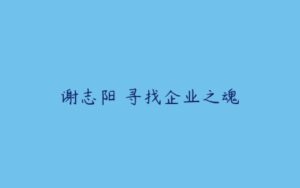 谢志阳 寻找企业之魂-51自学联盟