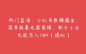 热门蓝海，小红书教辅掘金，简单粗暴无需剪辑，新手小白也能月入1W+【揭秘】-51自学联盟