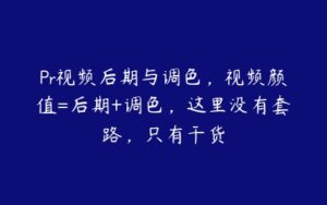 Pr视频后期与调色，视频颜值=后期+调色，这里没有套路，只有干货-51自学联盟