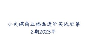 小灰碟商业插画进阶实战班第2期2023年-51自学联盟