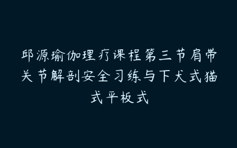 邱源瑜伽理疗课程第三节肩带关节解剖安全习练与下犬式猫式平板式-51自学联盟