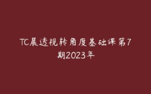 TC晨透视转角度基础课第7期2023年-51自学联盟