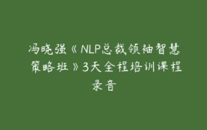 冯晓强《NLP总裁领袖智慧 策略班》3天全程培训课程录音-51自学联盟