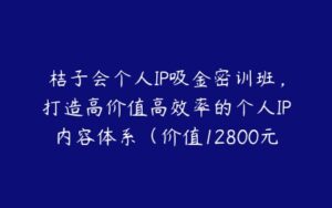 桔子会个人IP吸金密训班，打造高价值高效率的个人IP内容体系（价值12800元）-51自学联盟