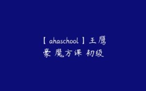 【ahaschool】王鹰豪 魔方课 初级-51自学联盟